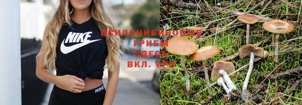 таблы Алзамай