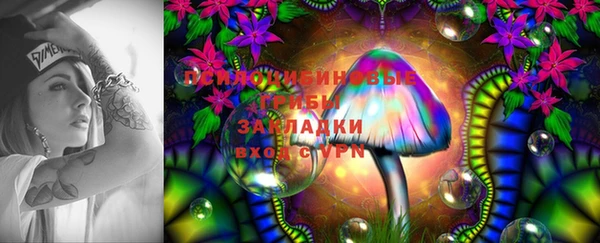 таблы Алзамай
